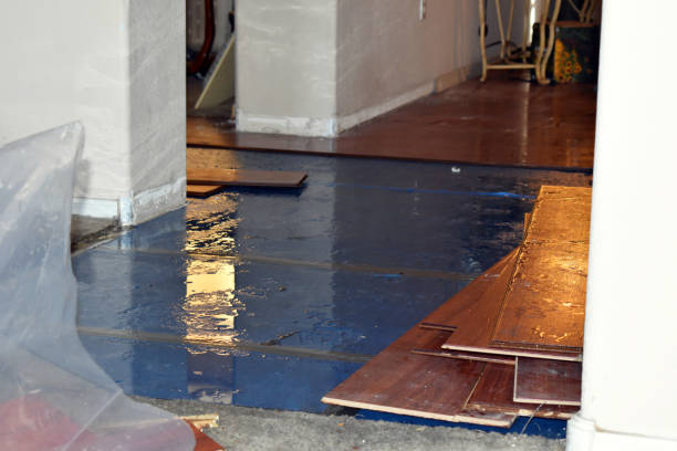 Professional Burst Pipe Water Damage technician working in Worthville, KY